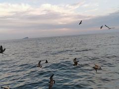 -星海广场