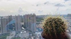 点击看大图 -skin79皮肤管理基站