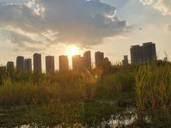 -汉江湾体育公园