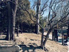 -元大都城垣遗址公园