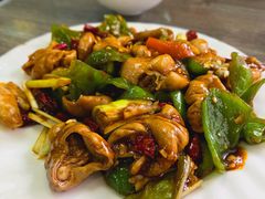 辣肥肠-林之六八·6886大连老菜馆