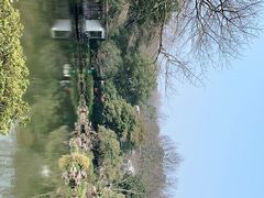 -杭州植物园