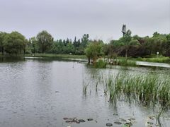 -西安浐灞国家湿地公园