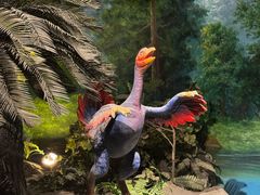 -辽宁古生物博物馆