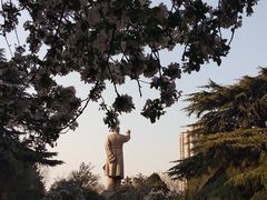 -山东师范大学(千佛山校区)