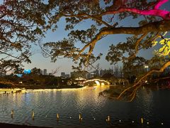 -江心屿景区