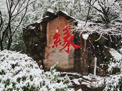 -杭州黄龙洞