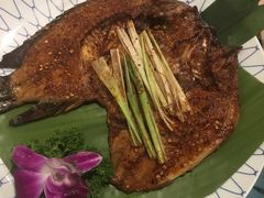 -紫滇源云南生态菜(丹凤街店)