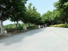-黄埔古港