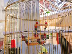 -广州市基督教东山堂