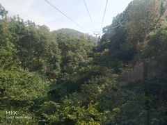 -普陀山风景区-佛顶山