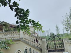 -府河摄影公园