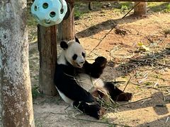 -西霞口神雕山野生动物世界