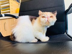 -红星电影世界开元地中海店(RealD杜比全景声)