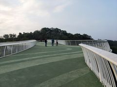-飞凤山奥体公园