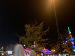 -国色天乡三期陆地乐园