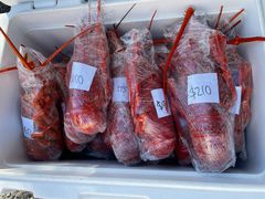 -Kaikoura Seafood BBQ Kiosk