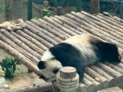 -大连森林动物园