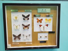 -上海昆虫博物馆