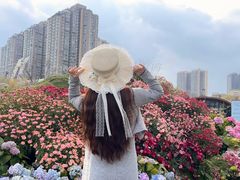 -首开·龙湖成都西宸天街