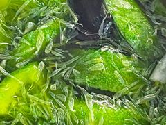 -TACO STAR 塔可星(下沙宝龙店)