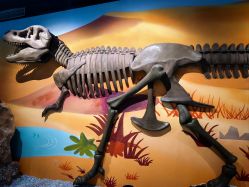 -北京科学中心儿童乐园