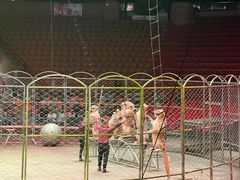 -俄罗斯国家大马戏团