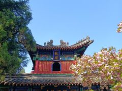 -洛阳白马寺