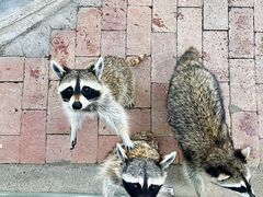 -水上乐园·欢乐世界