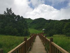 -白草畔自然风景区