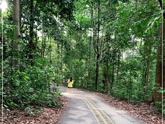 -武吉知马自然保护区