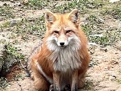-杭州野生动物世界