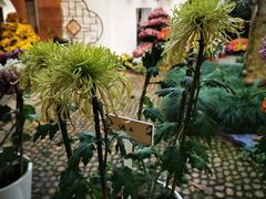 -杭州植物园