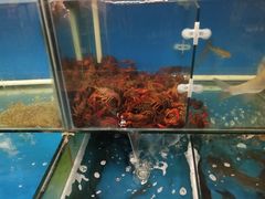 -麦凯乐(尚志大街店)