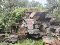-玲珑塔公园