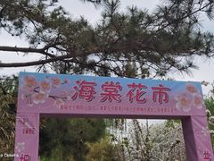 -海棠花溪(元大都城垣遗址公园)