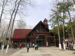 -合肥滨湖国家森林公园