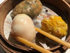 -新同乐鱼翅酒家(美丽华店)