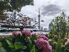 -北外滩滨江绿地