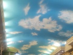 -石家庄海洋公园