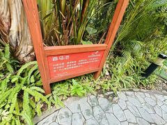 -碧水湾温泉