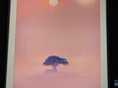 -罗红摄影艺术馆