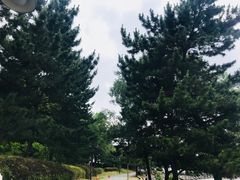 -台场海滨公园船码头