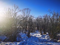 -北极村旅游风景区