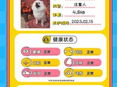 -BABIT巴比特宠物(MOMOPARK店)