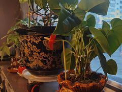 -老仁义·清真菜(太古街店)