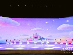 -中央芭蕾舞团·中芭艺蕾(酒仙桥明星校区)