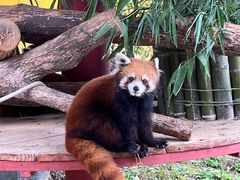 -杭州野生动物世界
