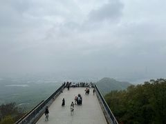 -紫金山索道-售票处