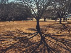 景点-三鹰之森吉卜力美术馆